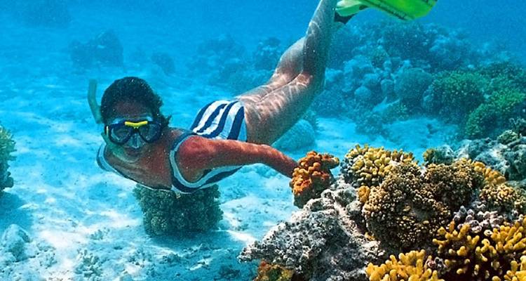Personne faisant de la plongée avec tuba sous l'eau avec un récif corallien coloré.