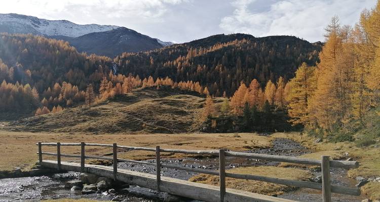 Eine ruhige Landschaft mit einer Holzbrücke über einem Bach, umgeben von herbstfarbenen Bäumen und Bergen.