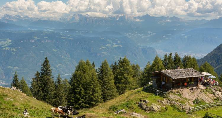 Eine malerische Berglandschaft mit einer rustikalen Hütte, Kühen und einem Blick auf entfernte Gipfel.