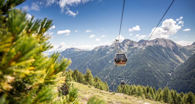 Seilbahnen, die über eine üppig grüne Berglandschaft fahren.
