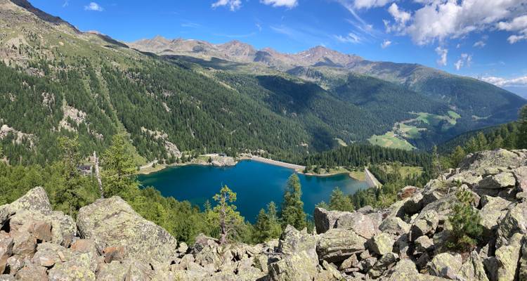 Ein Panoramablick auf einen blauen Bergsee, umgeben von felsigem Gelände und grünen Wäldern.