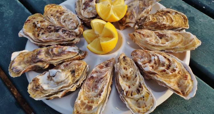 Assiette d'huîtres avec des tranches de citron.