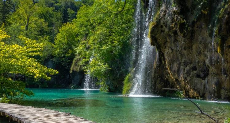 Forêt verdoyante luxuriante et cascades se déversant dans des bassins émeraude au parc national des lacs de Plitvice