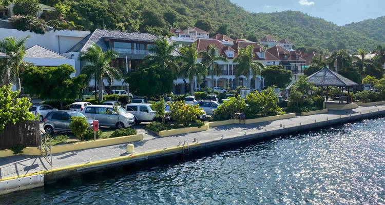 Waterfront area with parked cars and lush greenery.