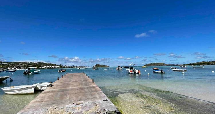 Dock extending into a clear blue sea with boats surrounding.