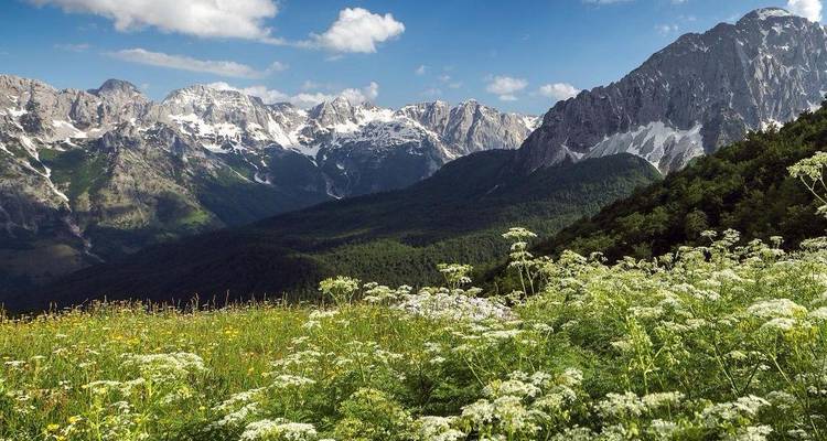 Chaîne de montagnes avec des sommets enneigés et des vallées verdoyantes luxuriantes.