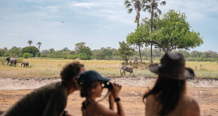 Des touristes observant des éléphants dans la nature.