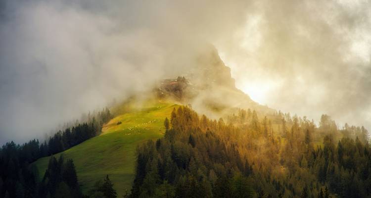 Fog-covered mountain landscape with trees.