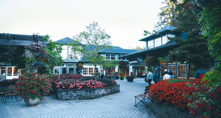Charming courtyard with vibrant flowers and people walking around.