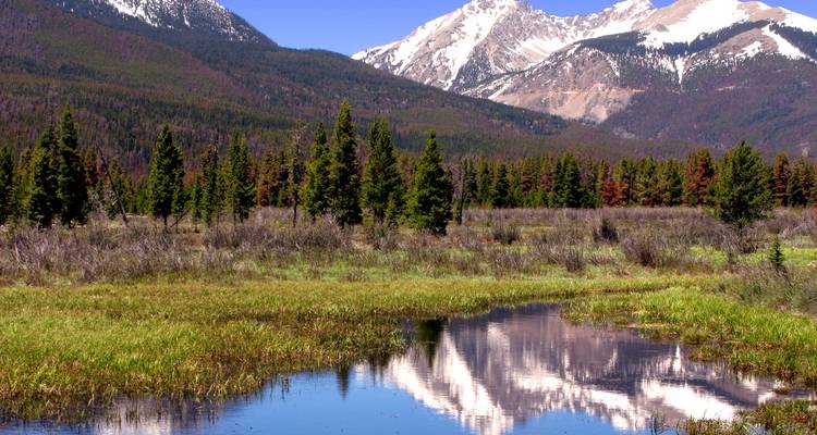 Reflets de montagnes enneigées dans une étendue d'eau calme.