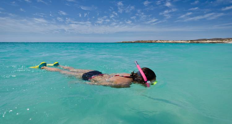 A person snorkeling in clear turquoise water near a sandy shore.