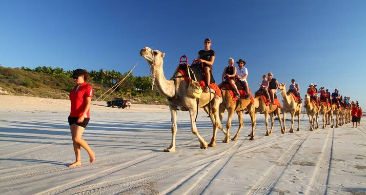 A group of tourists riding camels along a beach.