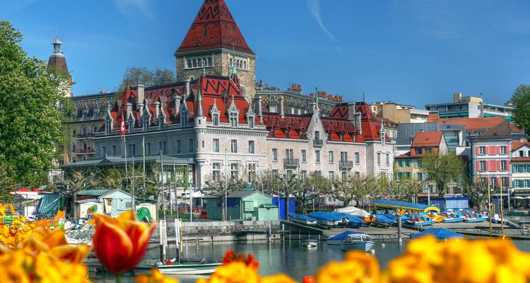 Vibrant flowers in foreground with a grand castle by the water.