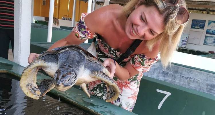 Person holding a sea turtle in a facility.