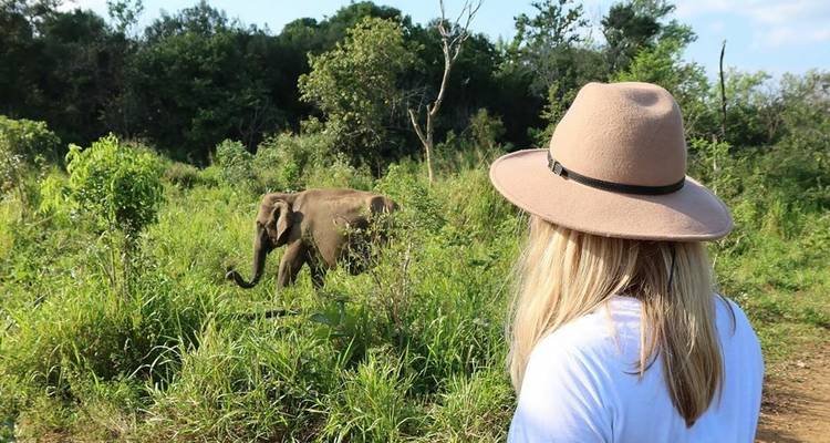 Person wearing a hat observing an elephant in a forest.