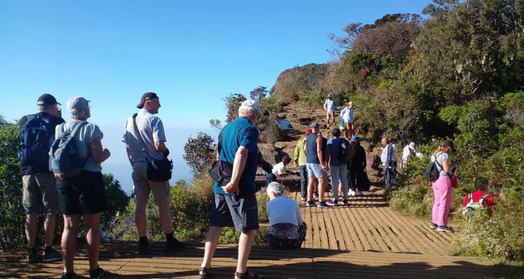 People gathered on a wooden deck in a natural setting