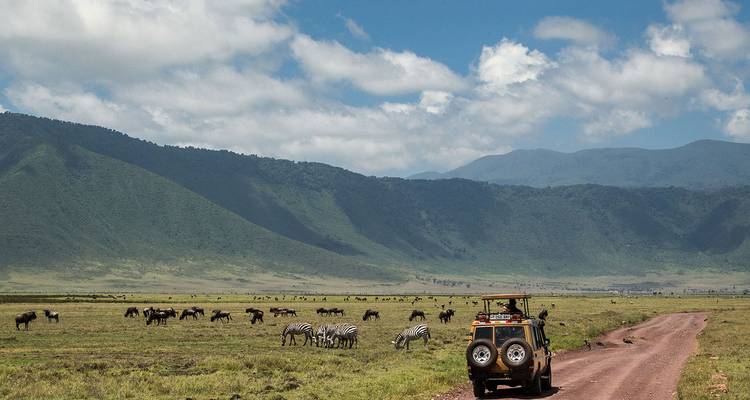 Safarifahrzeug beobachtet eine Herde von Gnus und Zebras auf einem offenen Feld mit Bergen im Hintergrund.