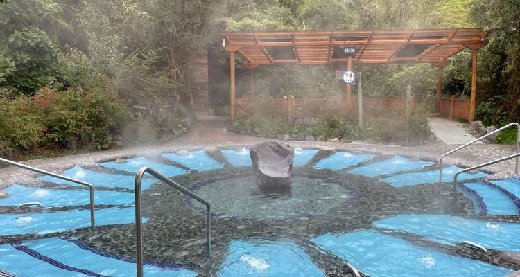 Source chaude circulaire avec de la vapeur qui s'élève, dans un cadre naturel.