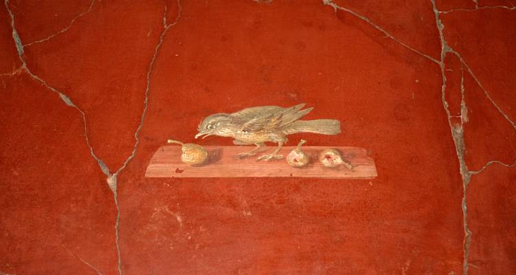 Fresque ancienne d'un oiseau mangeant des fruits sur un fond de plâtre rouge.