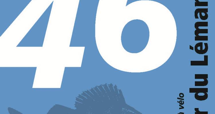 Gros plan d'un graphique avec des chiffres et du texte.