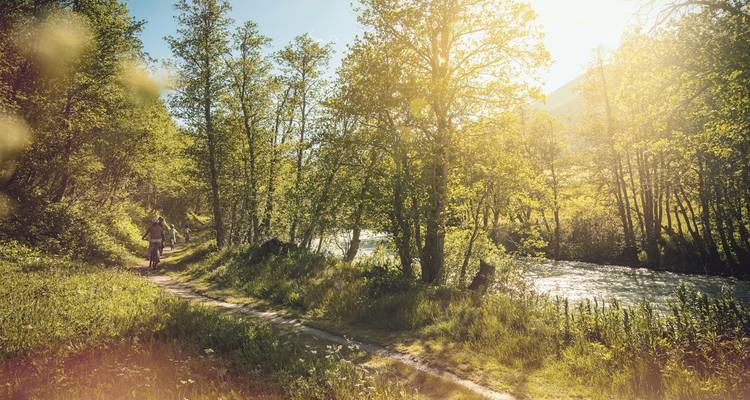 Des cyclistes sur un sentier traversant un chemin forestier ensoleillé au bord d'une rivière.