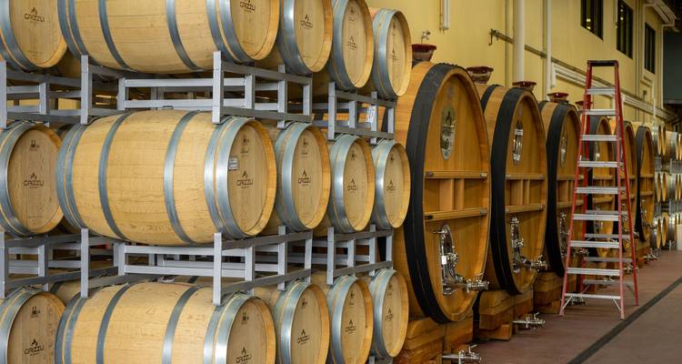 Vue intérieure d'une cave viticole avec de grands tonneaux et une échelle.