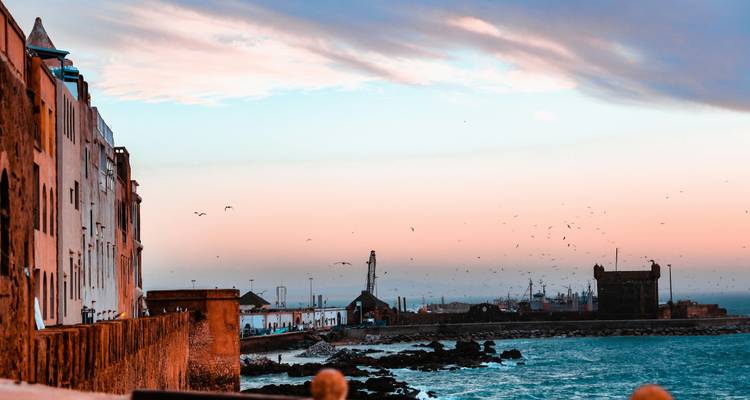 Vue côtière d'une ville historique avec océan et oiseaux en vol.