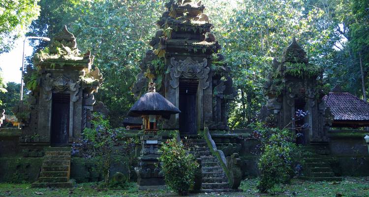 Stone temple gates in a lush forest setting.