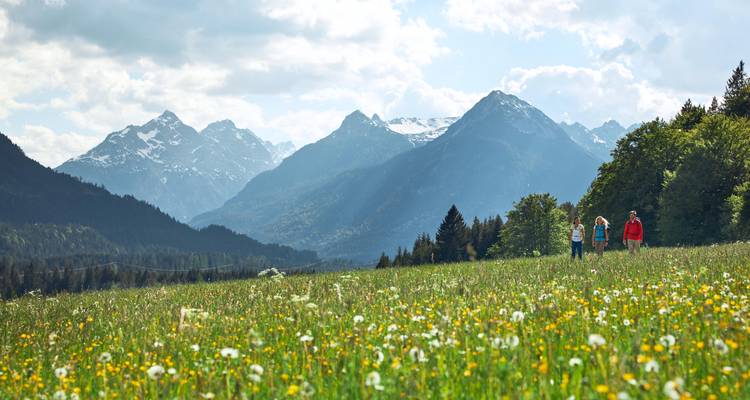 Gruppe von Menschen, die durch ein Feld mit Wildblumen wandern, mit Bergen im Hintergrund.