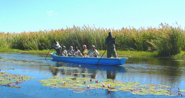 Turistas en una canoa azul remando por una vía acuática rodeada de juncos y salpicada de nenúfares bajo cielos despejados