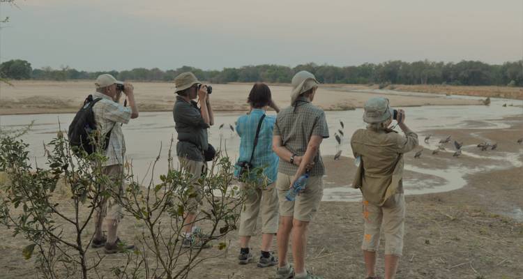 Cinco viajeros con binoculares observan aves zancudas en una orilla arenosa del río al atardecer.