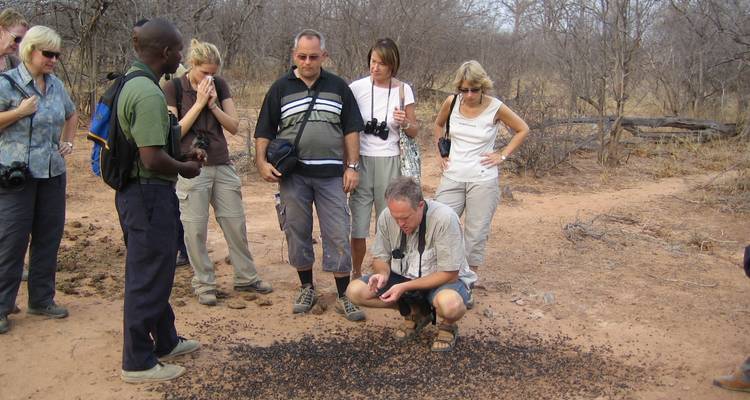 Un guía les explica a un pequeño grupo de turistas sobre los excrementos de animales en un polvoriento sendero del bosque.