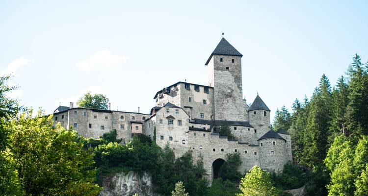 Château niché dans une zone boisée avec un ciel dégagé.