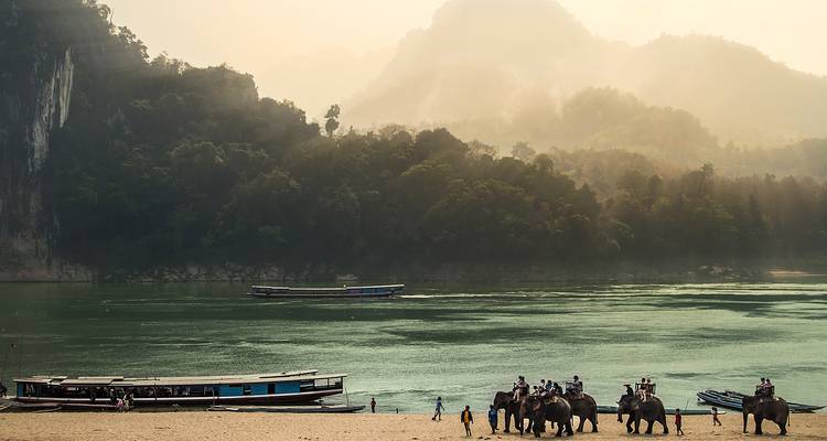 Elephants walking by a river with boats and misty mountains in the background.