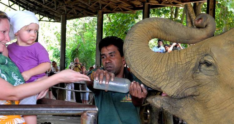 Homme nourrissant un éléphanteau avec un biberon dans un cadre de groupe.