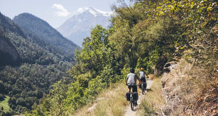 Cyclistes sur un sentier étroit entouré d'une végétation luxuriante et de montagnes.