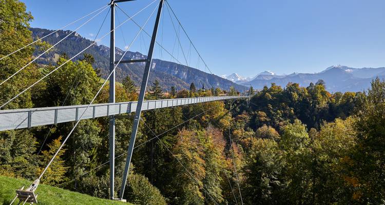Un pont suspendu au-dessus d'une forêt profonde avec des montagnes en arrière-plan.
