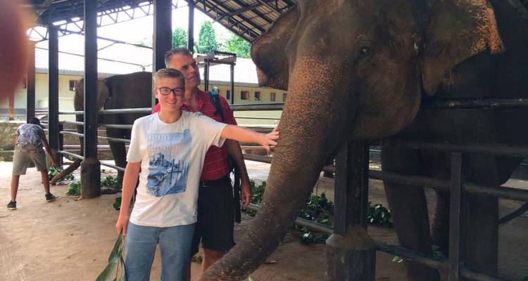 Deux personnes interagissant avec un éléphant dans un espace clos.