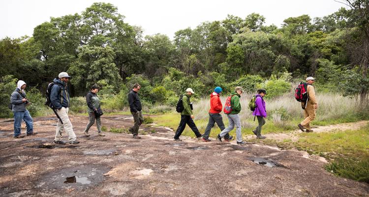 Group of people hiking on a rocky path through greenery.