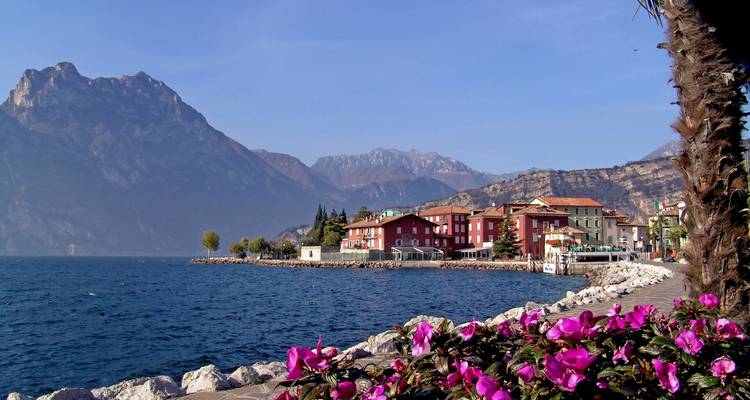 Vue au bord du lac avec des fleurs colorées et des montagnes en arrière-plan.