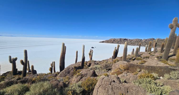 Een rotsachtig woestijnlandschap met cactussen en een zoutvlakte.
