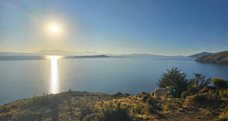 Een schilderachtig uitzicht op een meer met heuvels en bomen onder een heldere zon.