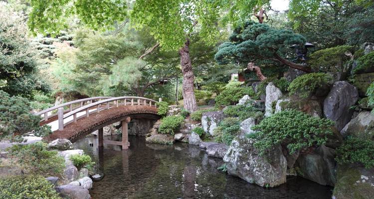 Jardin japonais avec un pont sur un bassin.