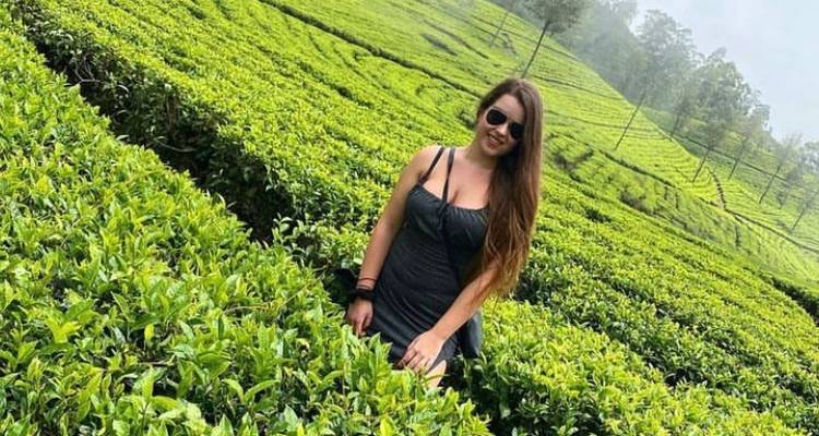 Personne debout dans un champ de thé vert luxuriant.