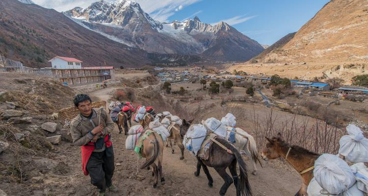 Homme avec des chevaux transportant des provisions à travers un village montagneux.