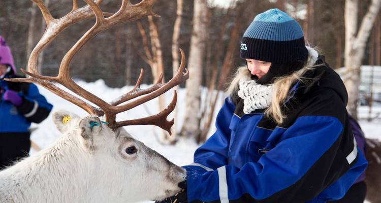 Person in winter clothing interacting with a reindeer.