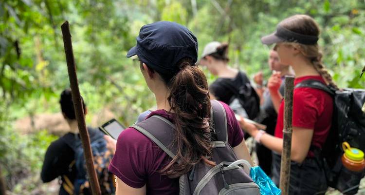 Groupe de randonneurs dans un cadre forestier regardant leurs téléphones