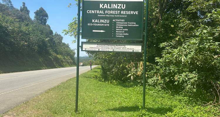 Signage for Kalinzu Central Forest Reserve along a road.