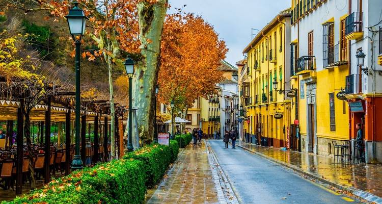 Picturesque city street lined with autumn trees and people walking.
