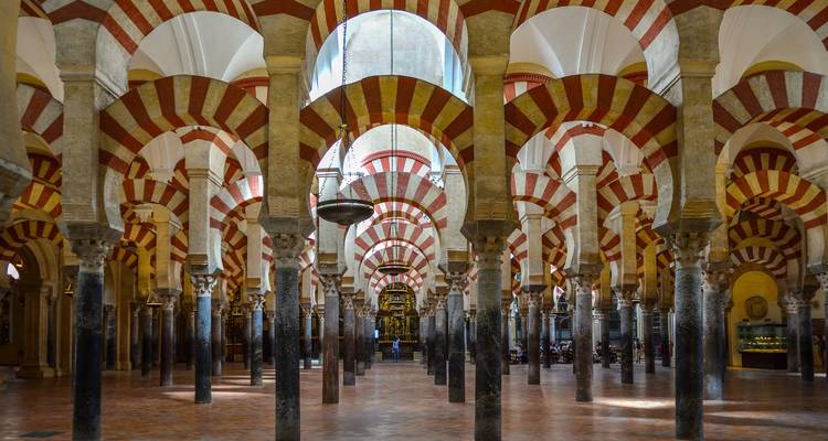 An impressive interior view of columns and arches in a mosque.
